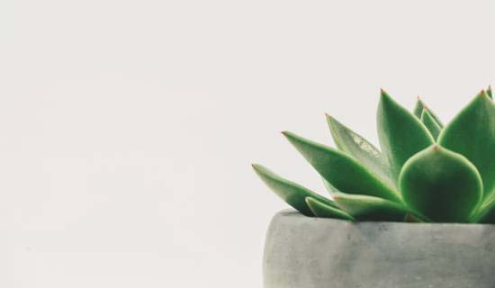 About Greenstaff Medical 